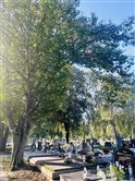 Cintorín a dom smútku